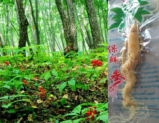 微信亲爱的帮忙拿人参哦~小程序游戏开发案例