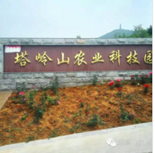 微信塔岭山农业科技园给您送红包啦小程序游戏开发案例