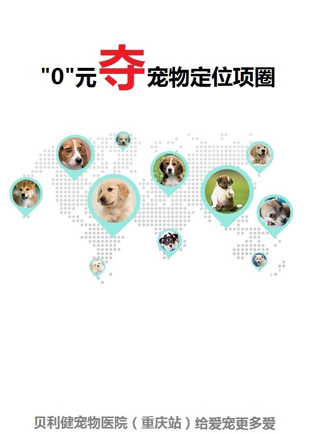 微信贝利健 