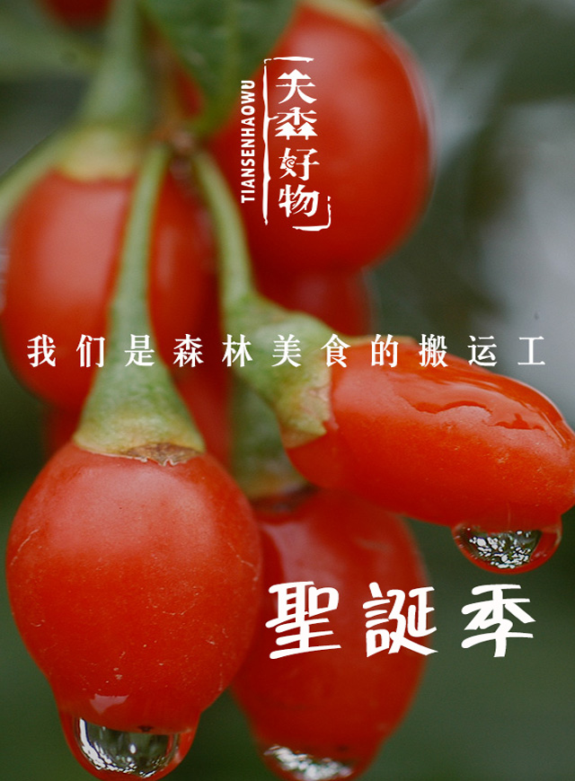 微信追踪圣诞美人小程序游戏开发案例