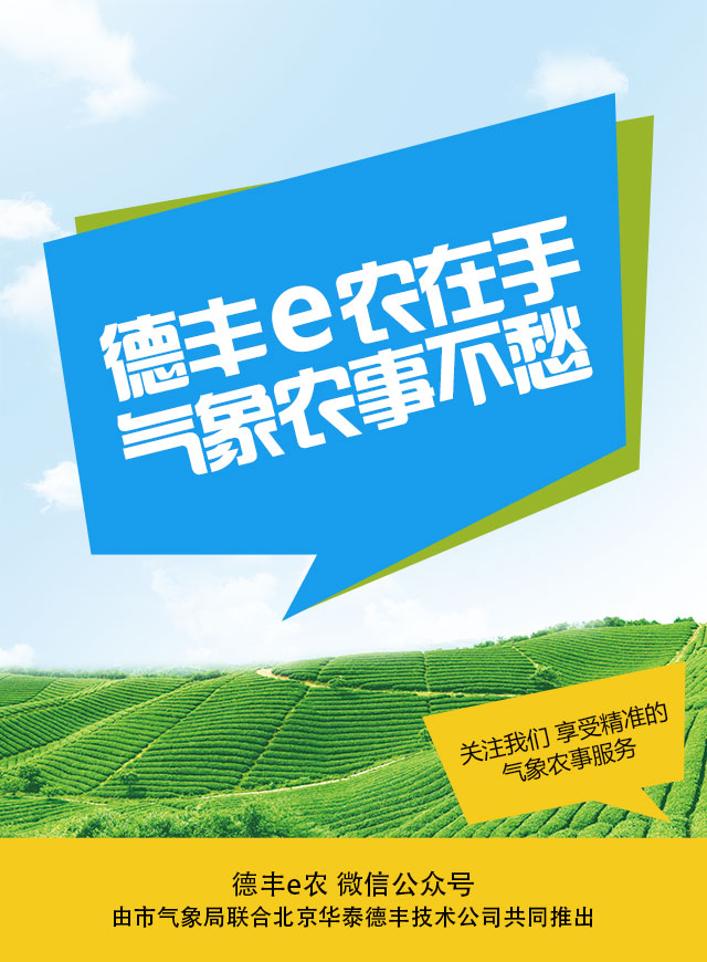 微信投票，四川省年度十佳优秀信息员评选投票案例