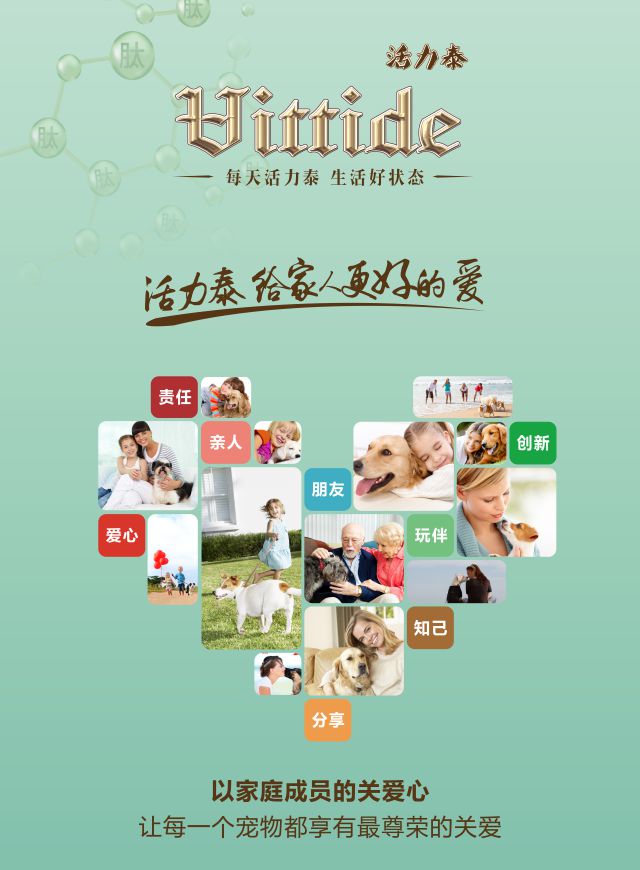 微信划龙舟抢活力泰宠粮小程序游戏开发案例